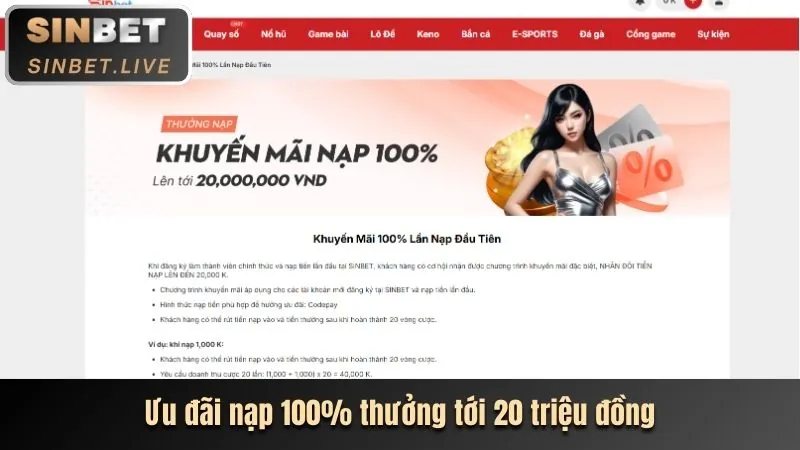 Bước 2: Điền thông tin